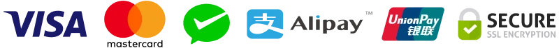 Visa, Mastercard, Google Pay, Alipay, UnionPay — secure payments